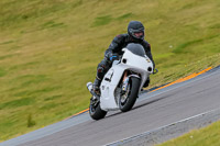 PJ-Motorsport-2019;anglesey-no-limits-trackday;anglesey-photographs;anglesey-trackday-photographs;enduro-digital-images;event-digital-images;eventdigitalimages;no-limits-trackdays;peter-wileman-photography;racing-digital-images;trac-mon;trackday-digital-images;trackday-photos;ty-croes